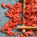 New Certified Organic Lycium Goji Berry Dried